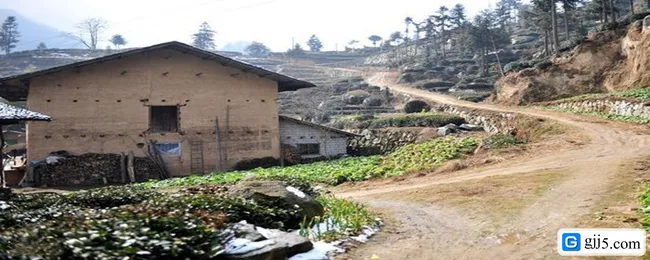 农村宅基地建房原则.webp