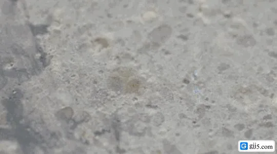 自愈混凝土
