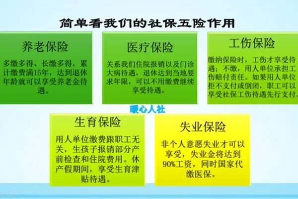 32fa828ba61ea8d3751c31aeef0e7247251f586f.webp