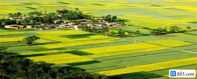 农村宅基地怎么补偿