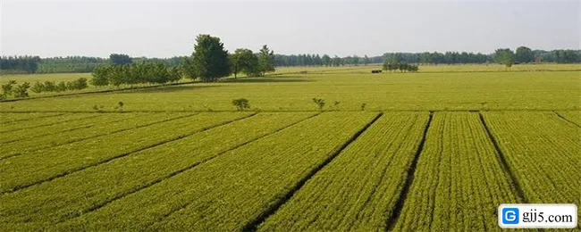 农村宅基地补偿新标准