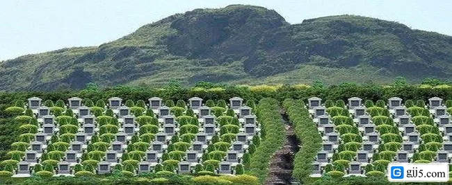 墓地风水知识有哪些
