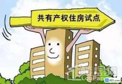 房屋共有权人是什么